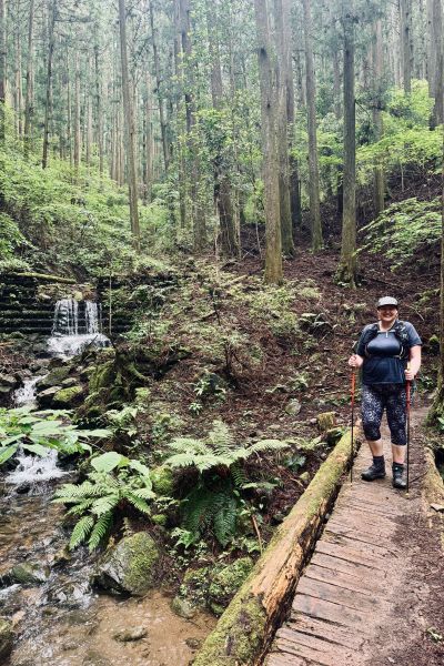Walking through the forest on the Kumano Kodo