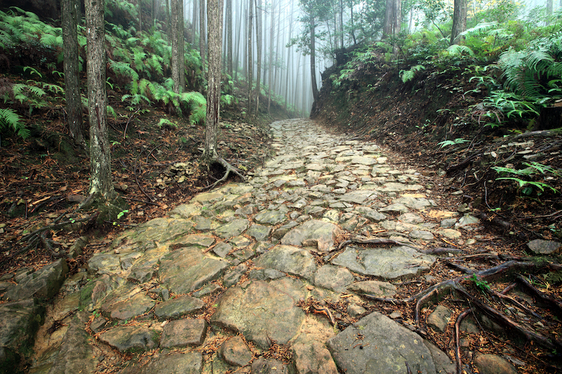Walk the Kumano Kodo